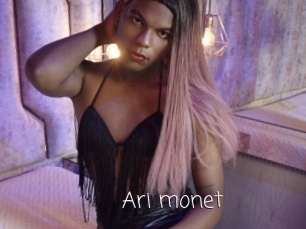 Ari_monet