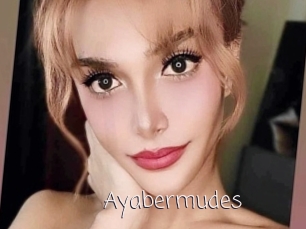 Ayabermudes